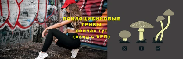 ALPHA PVP Чердынь