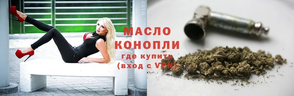 ALPHA PVP Чердынь