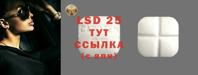 ALPHA PVP Чердынь