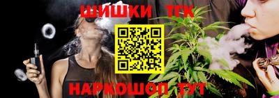 2c-b Камышлов