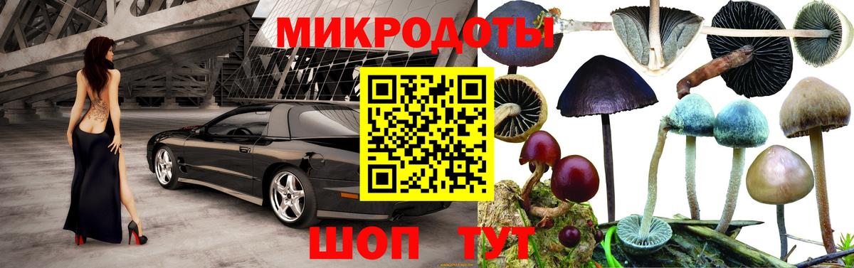 Азов  Псилоцибиновые грибы Psilocybine cubensis  Вход с VPN 