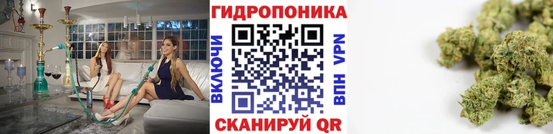 Бошки Шишки OG Kush  купить закладку  Азов 